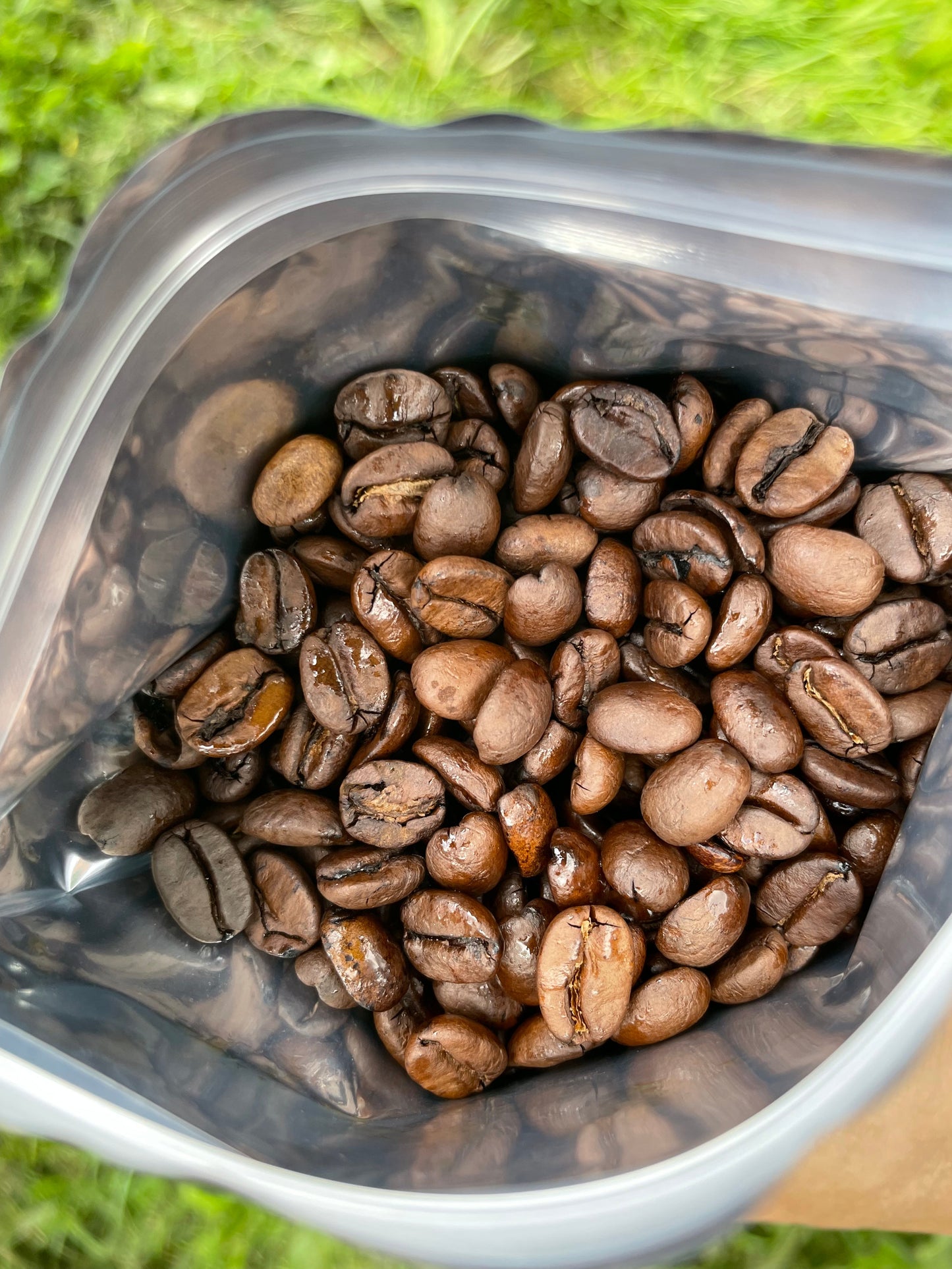 清流水洗い焙煎珈琲豆 【カフェインレス】コロンビア サン・アグスティン(200g)Colombia San Agustin (Cafeine-less)