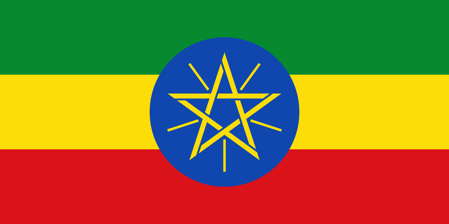 清流水洗い焙煎珈琲豆 エチオピア イルガチェフィG1(100g)Ethiopia Yirgacheffe G1