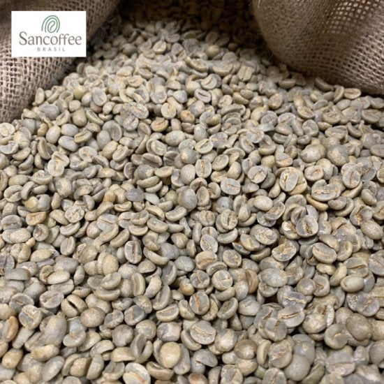 Clear stream water washed roasted coffee beans Brazil Chocola SantoAntonio (100g)