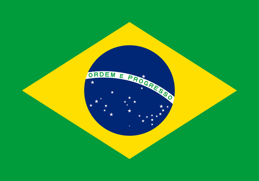 清流水洗い焙煎珈琲豆 ブラジル ショコラ サントアントニオ(100g)Brazil Chocola SantoAntonio