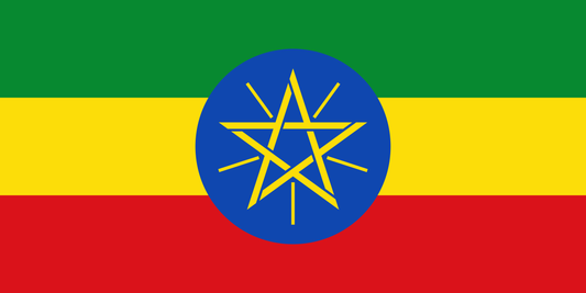 清流水洗い焙煎珈琲豆 エチオピア ゲレナ農園 ゲイシャG3 ナチュラル(200g)Ethiopia Gelane Geisha G3 Natural